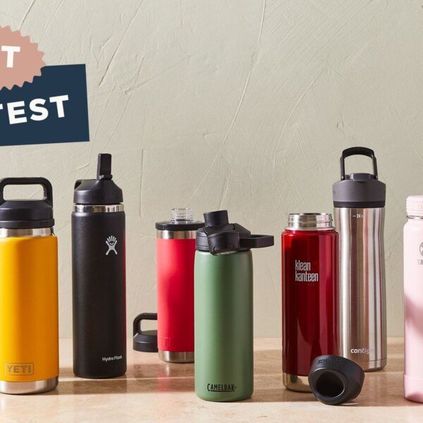 The 3 Best Insulated Water Bottles of 2024 | Search & Rated by AI