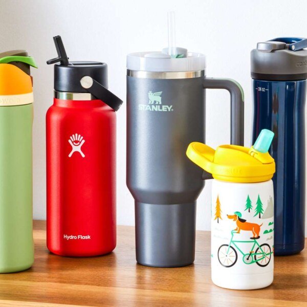 The 5 Best Water Bottles of 2024 | Search & Rated by AI