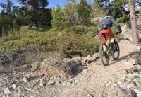 Mountain bikers spend lots of time in the saddle, a comfortable one...