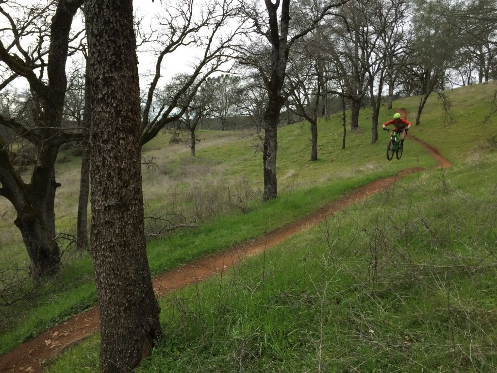 mountain bike saddle - the volt is an enticing option for its mix of performance and value.