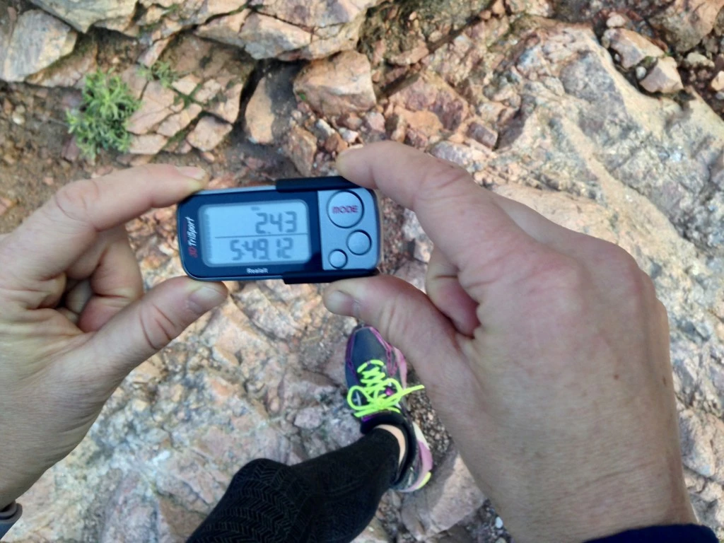 pedometer - the 3d trisport is among the most accurate devices we tested.