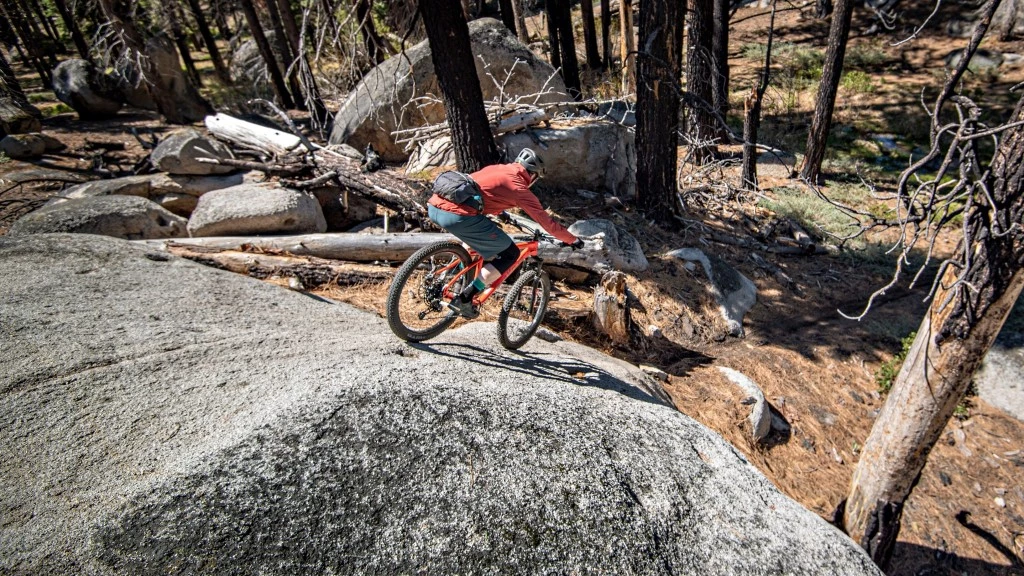 mountain bike shorts - comfortable shorts allow you to focus on the task at hand.