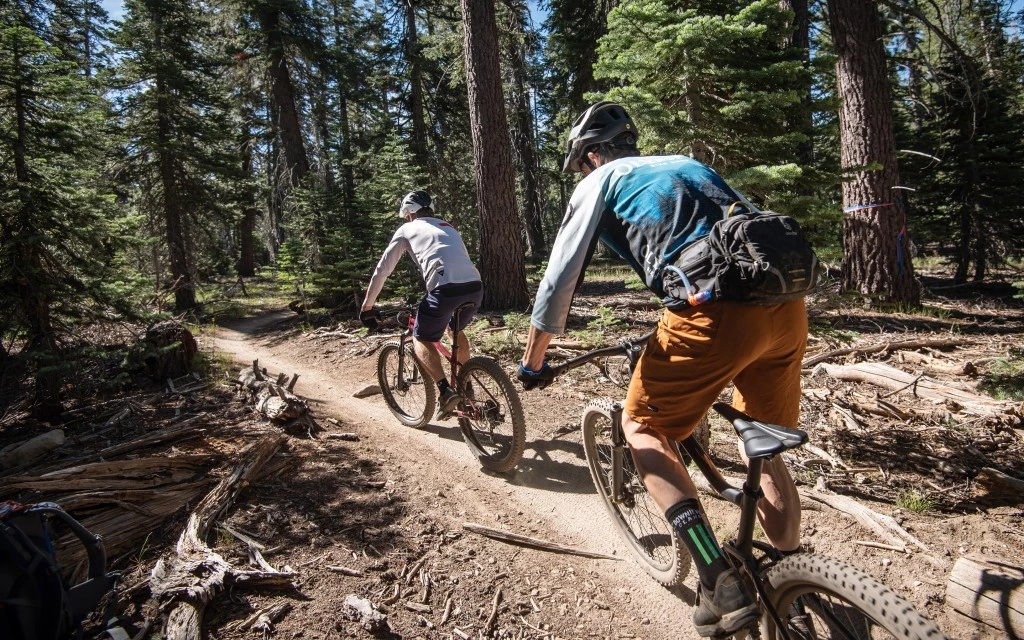 budget mountain bike - we ride these bikes all season long to figure out which is an actual...