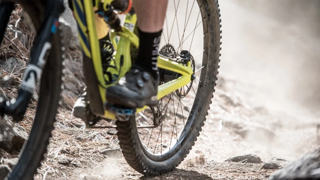 mountain bike tires - the rear tire is responsible for the brunt of pedaling and braking...