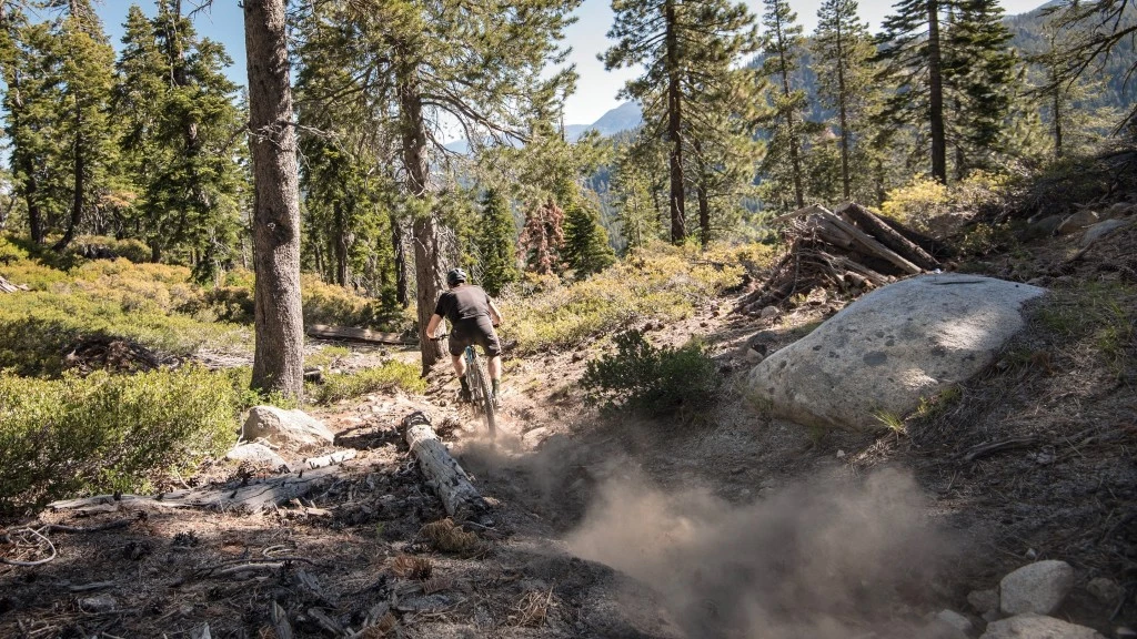 mountain bike tires - we like to be in control and we assume you do too. we suggest...