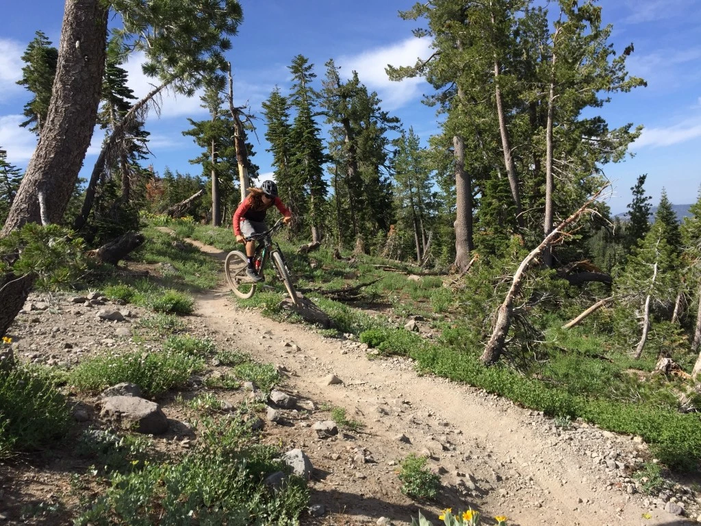 mountain bike handlebars - depending how you ride you may or may not be concerned with the...