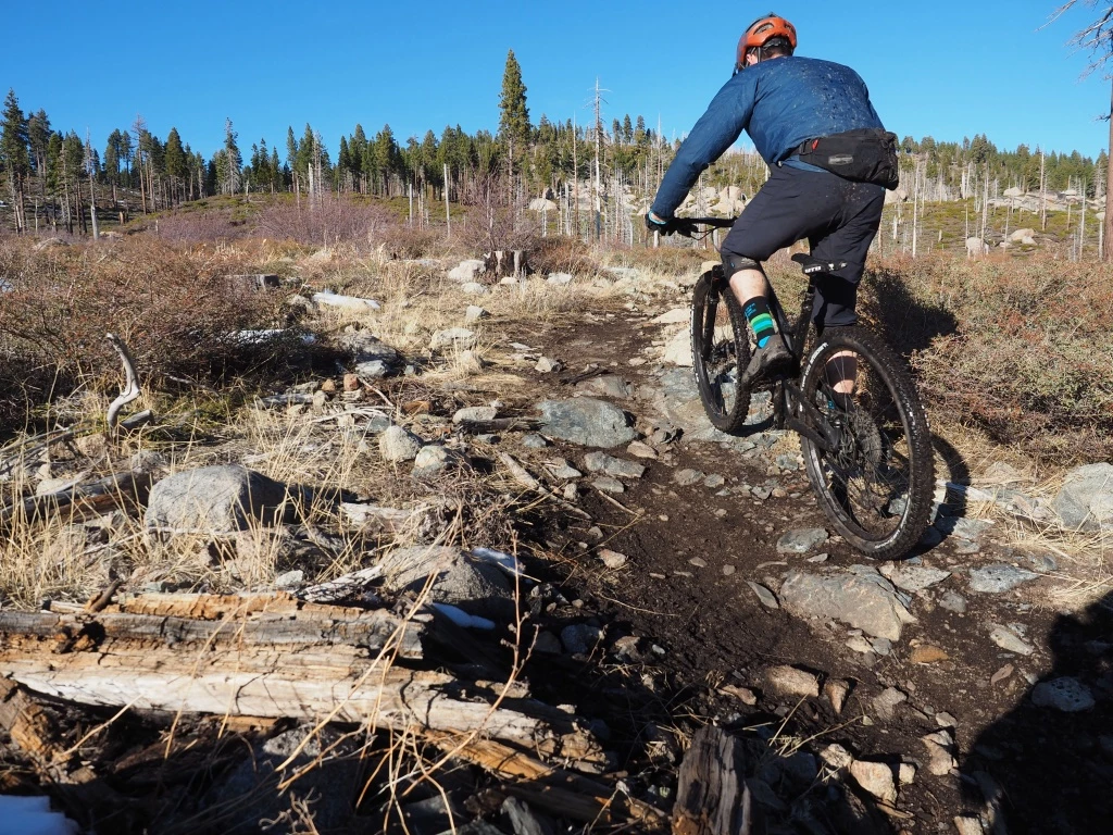 mountain bike tires - the michelin wild enduro rear sure ain't light. but it delivers...