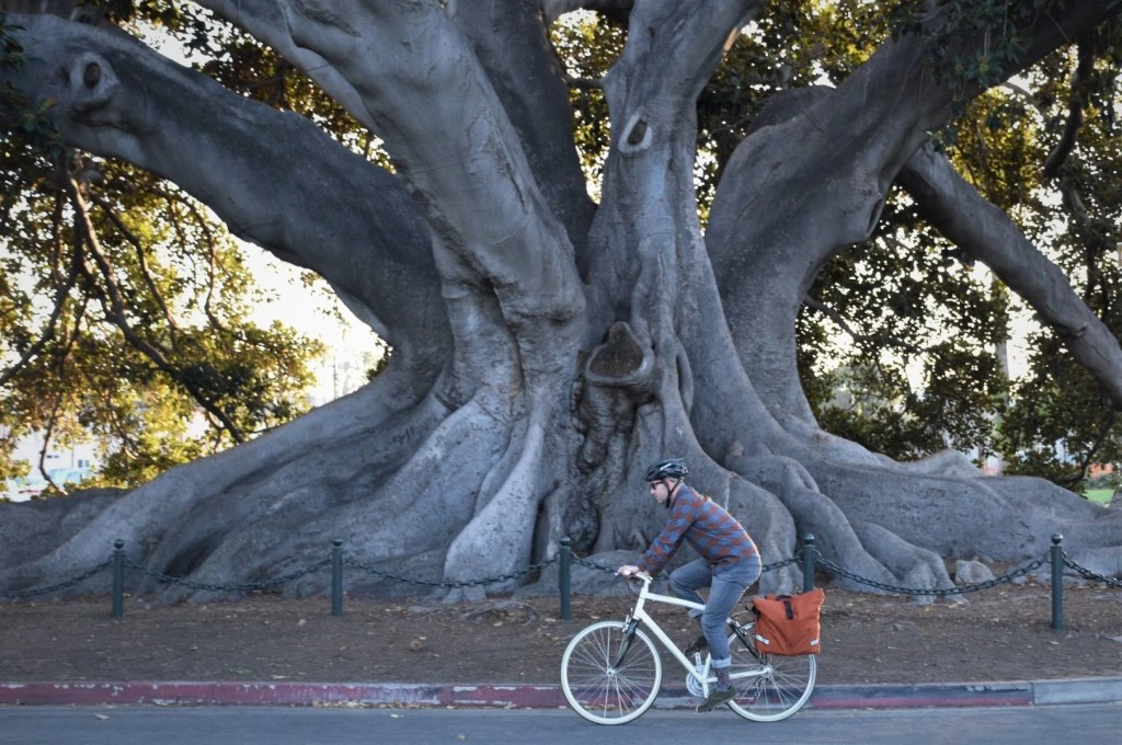 bike panniers - the signature h has an incredibly versatile design that would be...