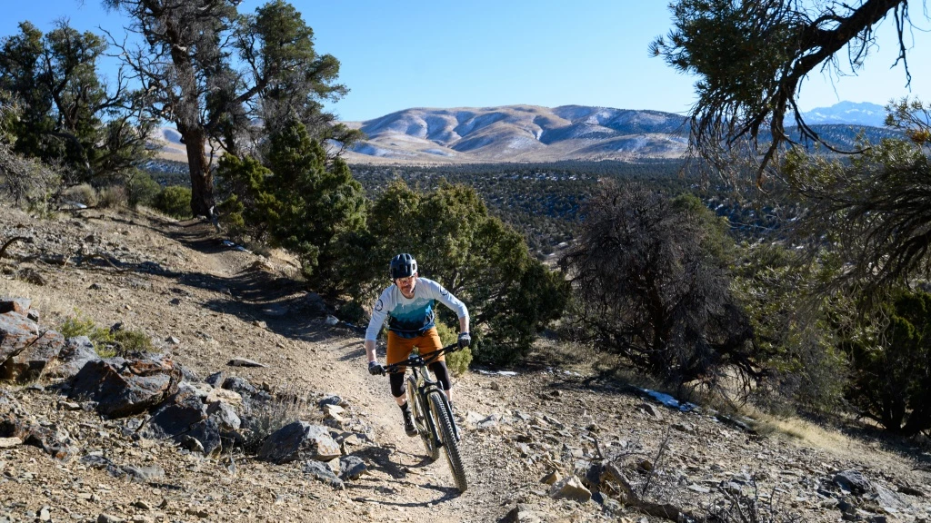 hardtail mountain bike - hardtails come in a huge range of styles. bikes like the marin pine...