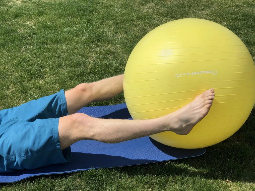 exercise ball - the dynapro exercise ball was among the softest and squishiest that...