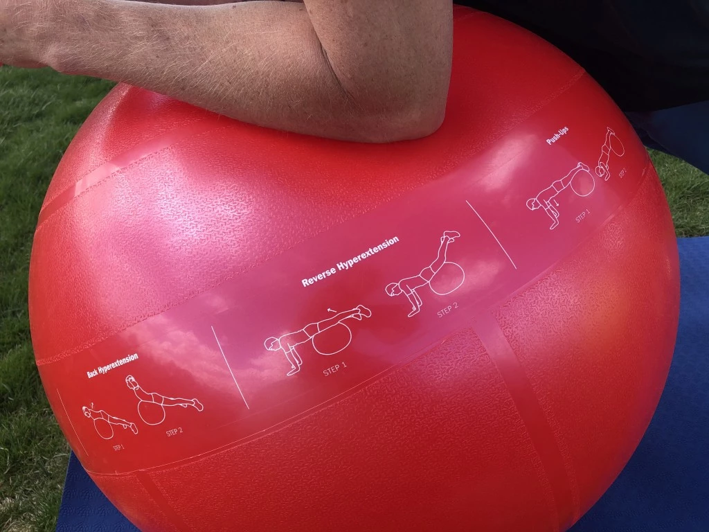 exercise ball - the gofit pro ball is one of our favorites for working out due to...