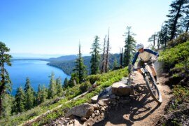 The 9 Best Trail Mountain Bikes