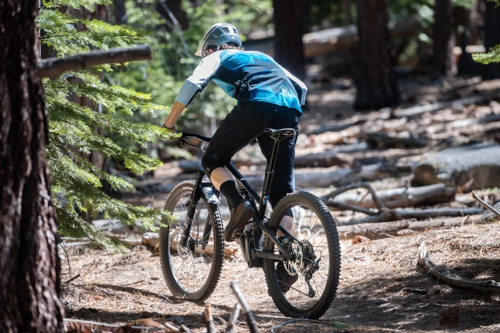 mountain bike tires - the eliminator is a well-rounded rear tire at a reasonable price.