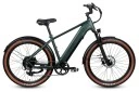 budget electric bike