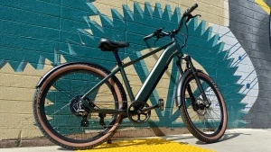 budget electric bike