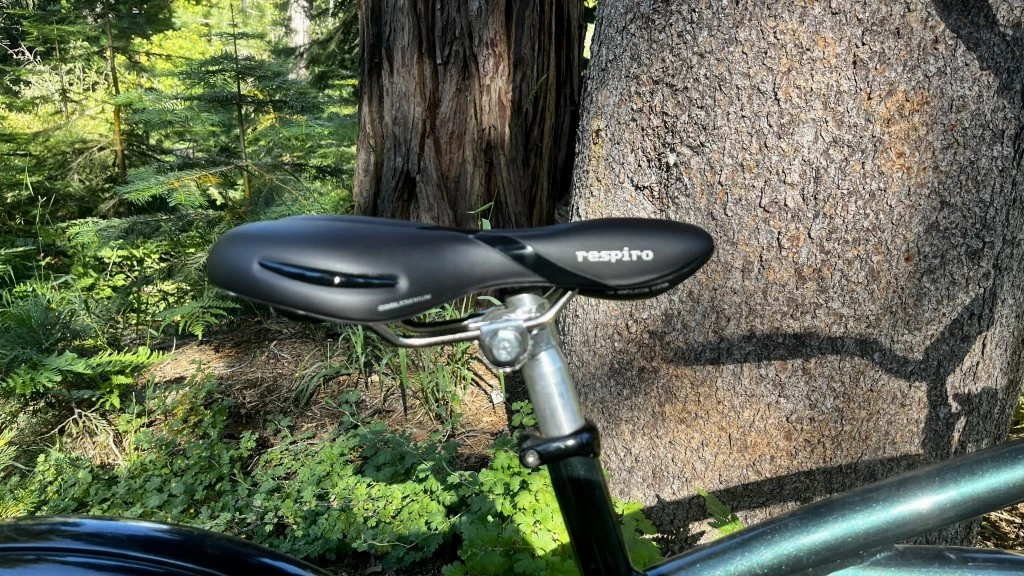 comfort bike seat - the selle royal respiro is a sleek saddle, but it's profile is less...