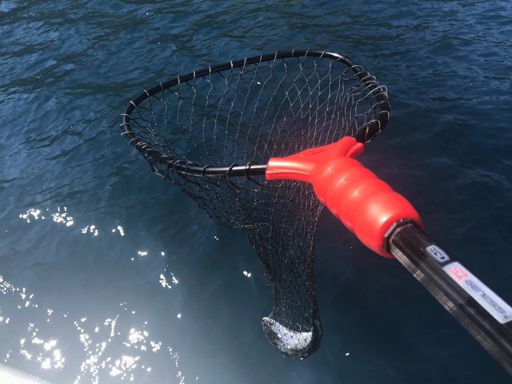 fishing net - when you want to ensure you snag the catch of the day, whether well...