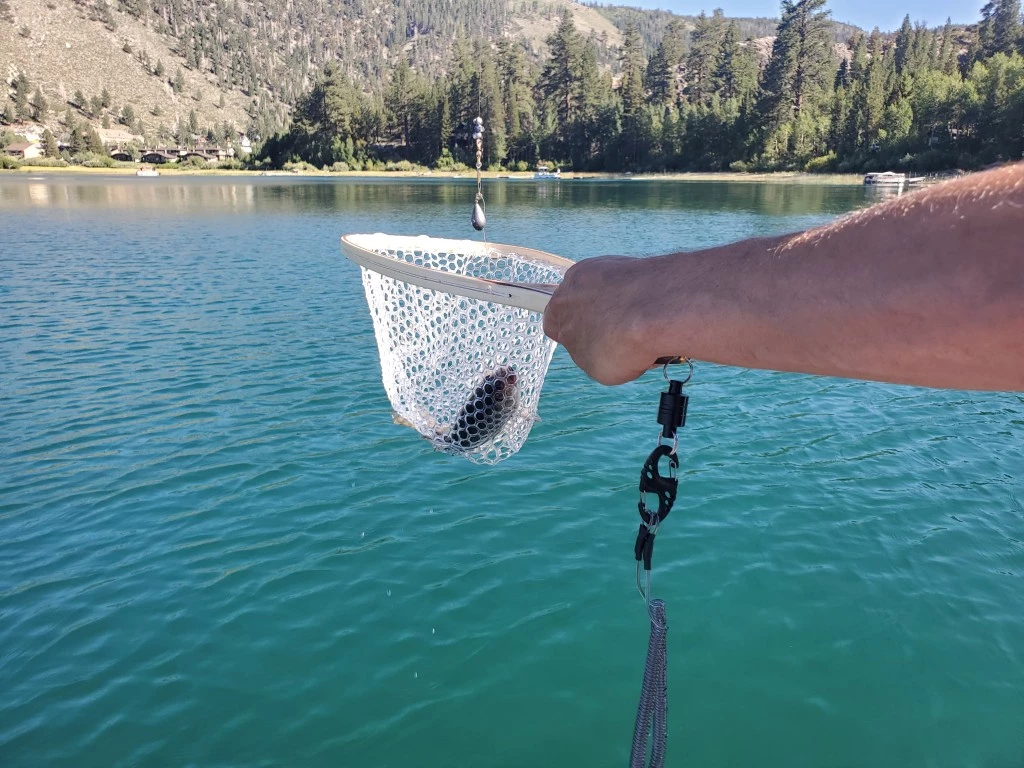 fishing net - it doesn't get more classic than the sf fly fishing model. with its...