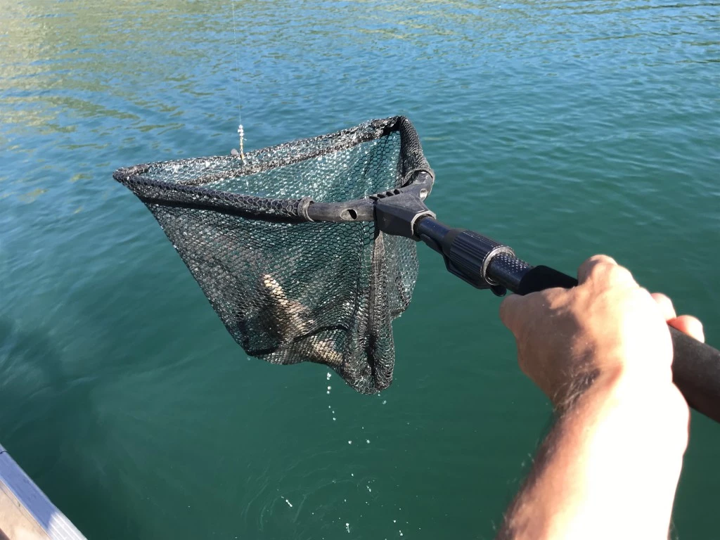 fishing net - the plusinno net is portable and easy of use. it folds up to a...