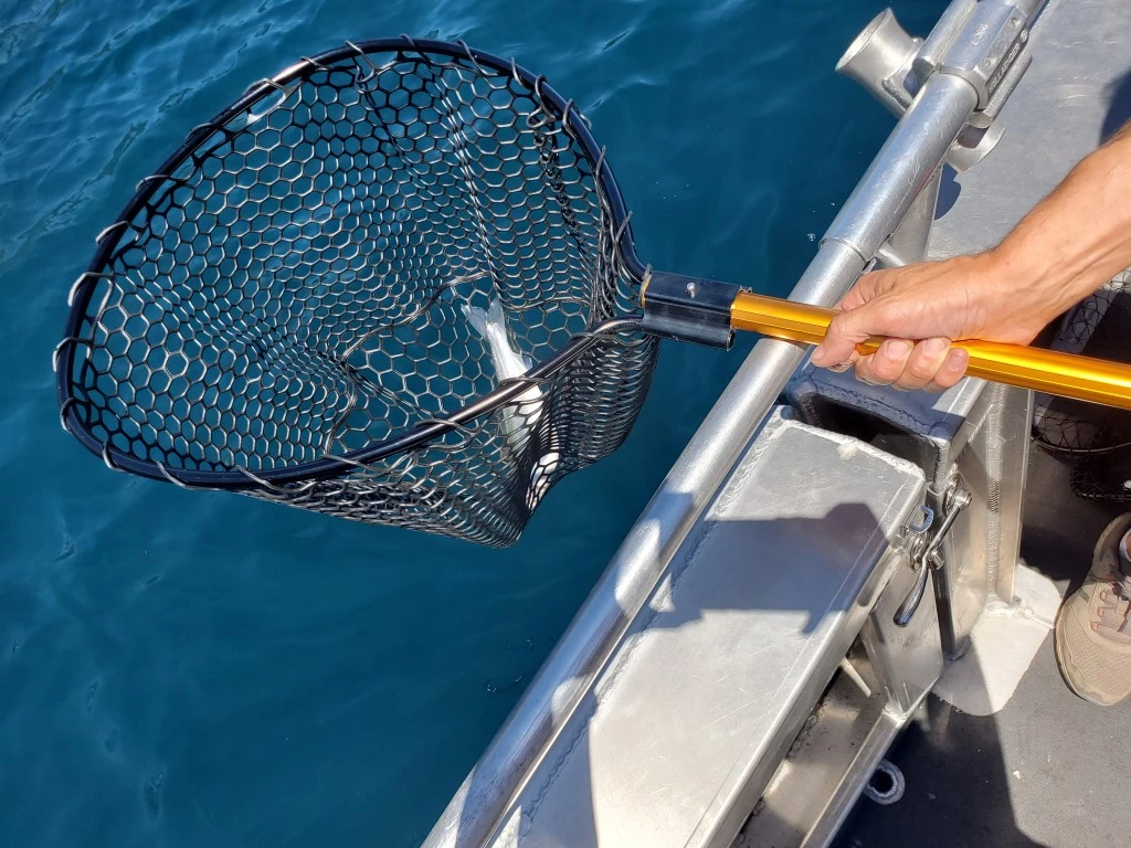 fishing net - useful for fresh or saltwater fishing, the wakeman retractable...