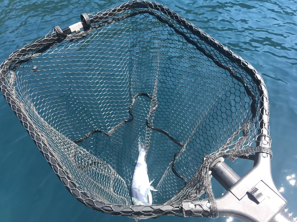 fishing net - the soft rubber-coated netting material of the kastking madbite...