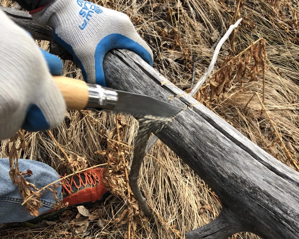 folding saw - the opinel performs exceptionally well for a lightweight, compact saw.