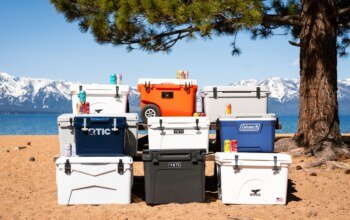 The 8 Best Coolers of 2025