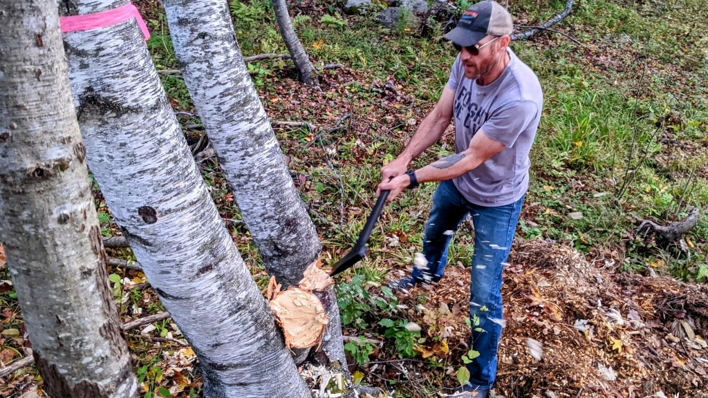 axe - the fiskars chopping axe is the best in the test for taking down...