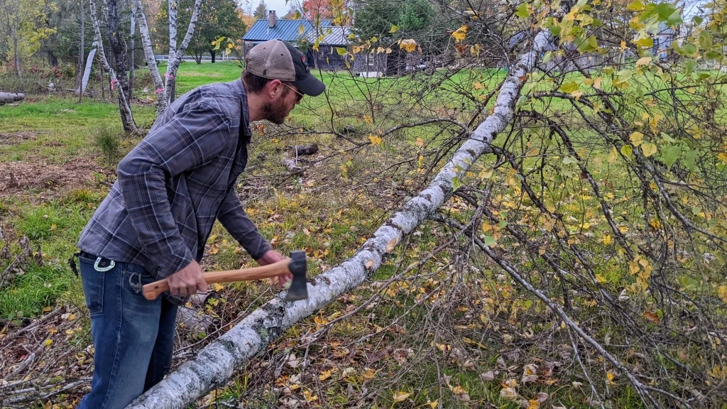 axe - the small forest axe excels at detailed tasks like taking the limbs...